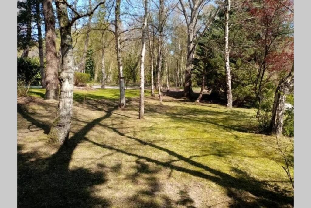 Villa Les Lutins Le Touquet Zewnętrze zdjęcie